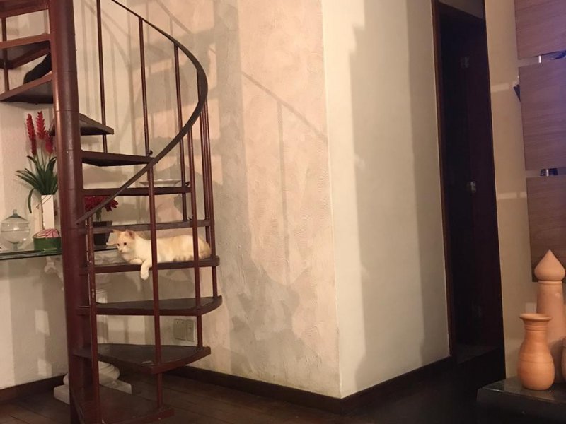Cobertura à venda Engenho Novo com 150m² e 3 quartos por R$ 480.000 - 84062474-whatsapp-image-2020-04-02-at-20.jpeg