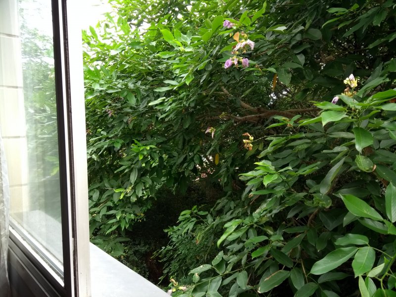 imóvel com 63m² - Jardim Tres Marias - Guarujá