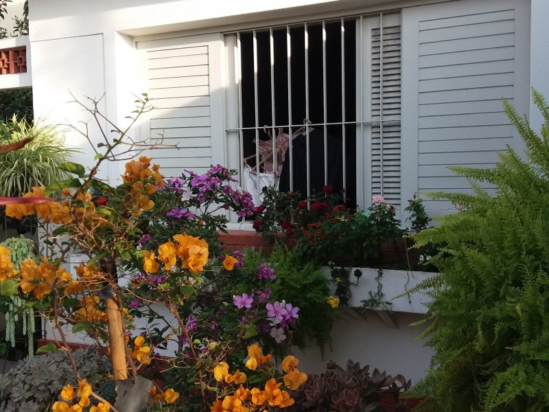 Casa à venda Jardim França com 332m² e 3 quartos por R$ 1.100.000 - 144631129-20180621-160947.jpg