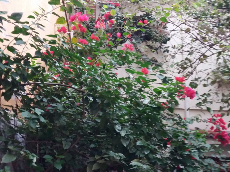 Casa à venda Jardim França com 332m² e 3 quartos por R$ 1.100.000 - 1977839703-20180524-164559.jpg