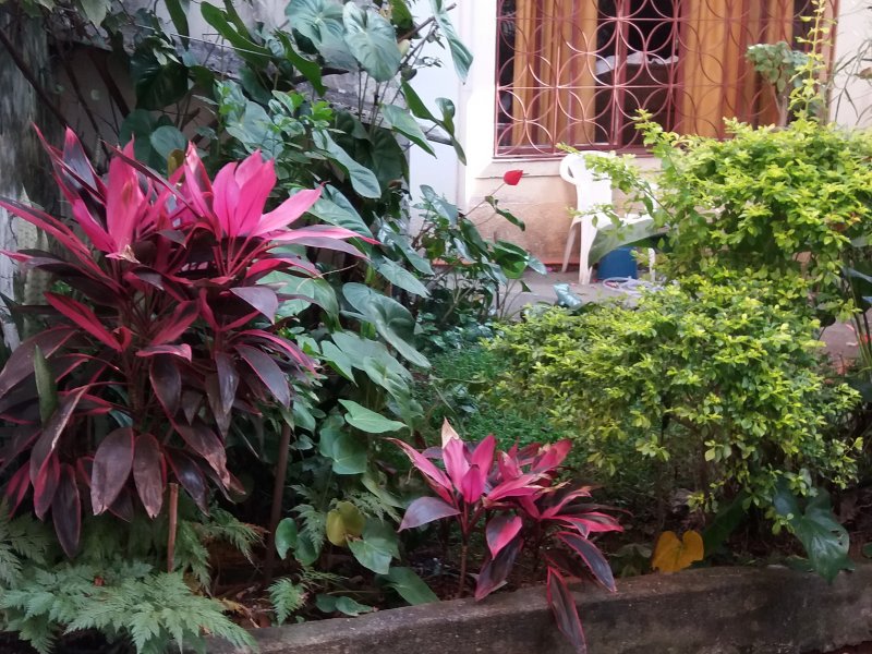 Casa à venda Jardim França com 332m² e 3 quartos por R$ 1.100.000 - 2067826892-20170906-155107.jpg