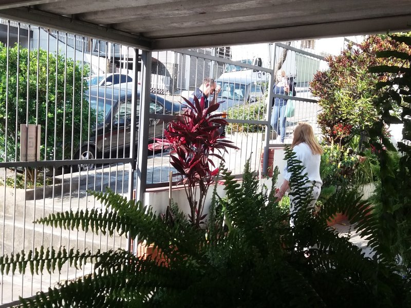 Casa à venda Jardim França com 332m² e 3 quartos por R$ 1.100.000 - 725819316-20170811-150639.jpg