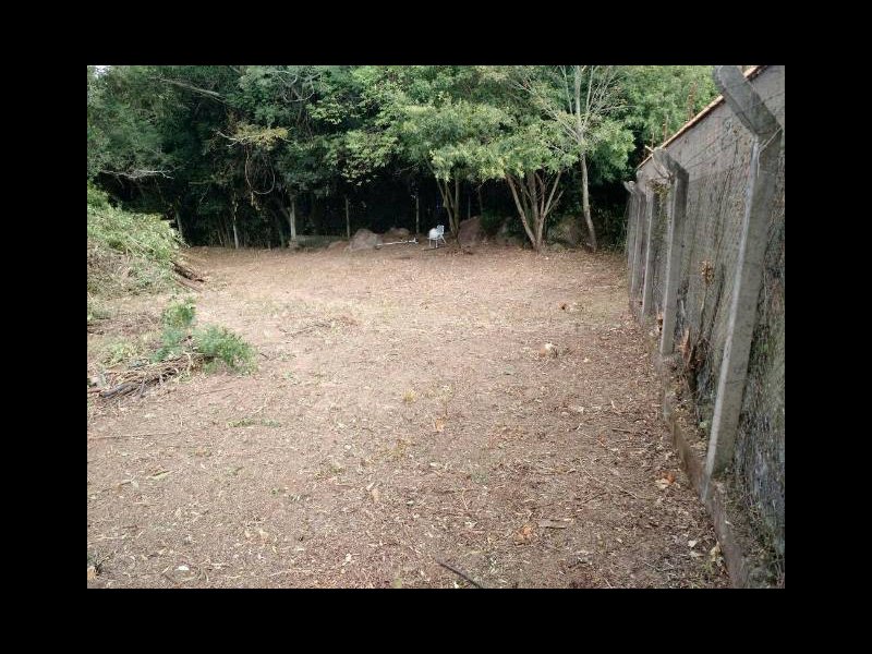Terreno à venda Lageado com 830m² e  quartos por R$ 125.000 - 1993097355-d1dbbcb9-658a-4672-b4f2-5dd18368e8af.jpg