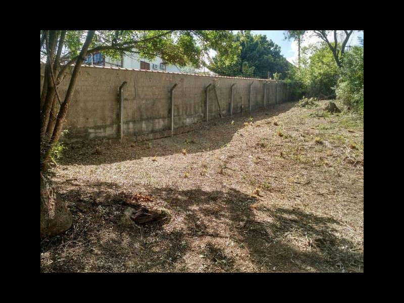 Terreno à venda Lageado com 830m² e  quartos por R$ 125.000 - 381617097-193894de-1965-4486-bbf2-1731b0d49c80.jpg