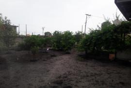 Chácara à venda Bairro Nova Califórnia com 840m² - 2 dormitórios -  vagas - R$ 199.000 - 1239770841-20191212-120233.jpg
