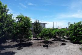 Chácara à venda Bairro Nova Califórnia com 840m² - 2 dormitórios -  vagas - R$ 199.000 - 1358804511-20200109-120352.jpg