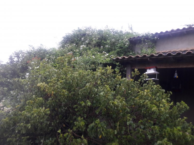 Chácara à venda Bairro Nova Califórnia com 840m² e 2 quartos por R$ 199.000 - 1288710916-20191211-171708.jpg