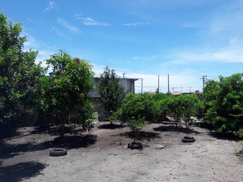 Chácara à venda Bairro Nova Califórnia com 840m² e 2 quartos por R$ 199.000 - 1358804511-20200109-120352.jpg