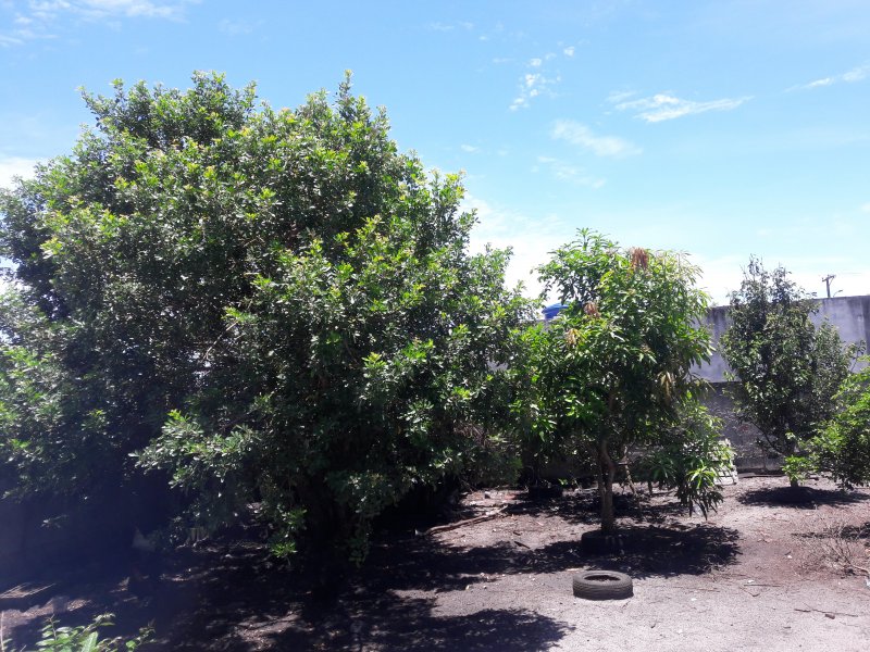 Chácara à venda Bairro Nova Califórnia com 840m² e 2 quartos por R$ 199.000 - 1978636479-20200109-120400.jpg