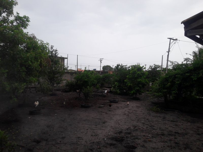 Chácara à venda Bairro Nova Califórnia com 840m² e 2 quartos por R$ 199.000 - 882408955-20191212-115804.jpg