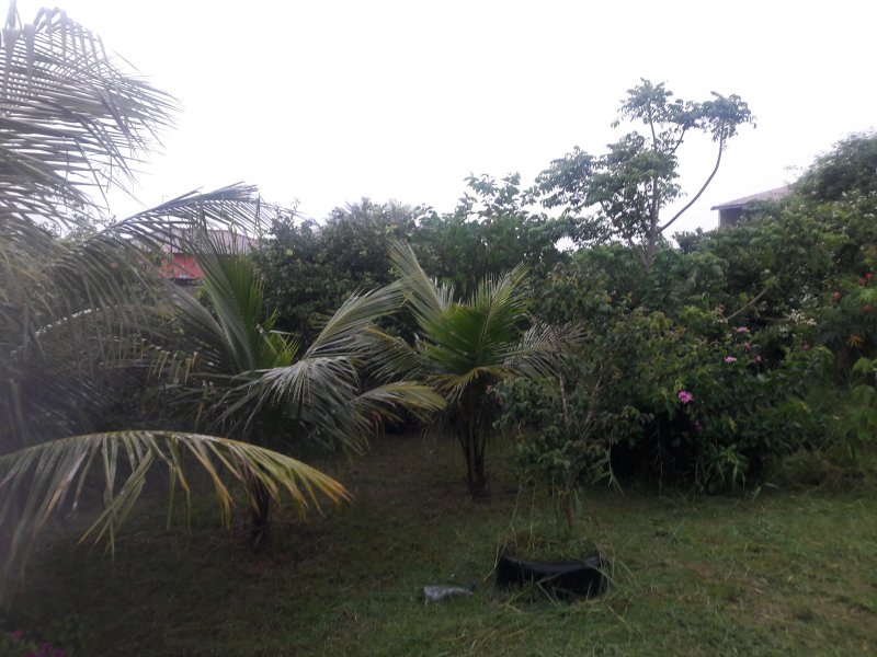Chácara à venda Bairro Nova Califórnia com 840m² e 2 quartos por R$ 199.000 - 992575537-20191211-171646.jpg