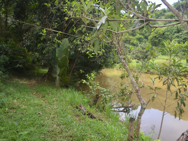 Sítio à venda Paula Lima com 20000m² e 9 quartos por R$ 500.000 - 10485446-dsc-3941.JPG