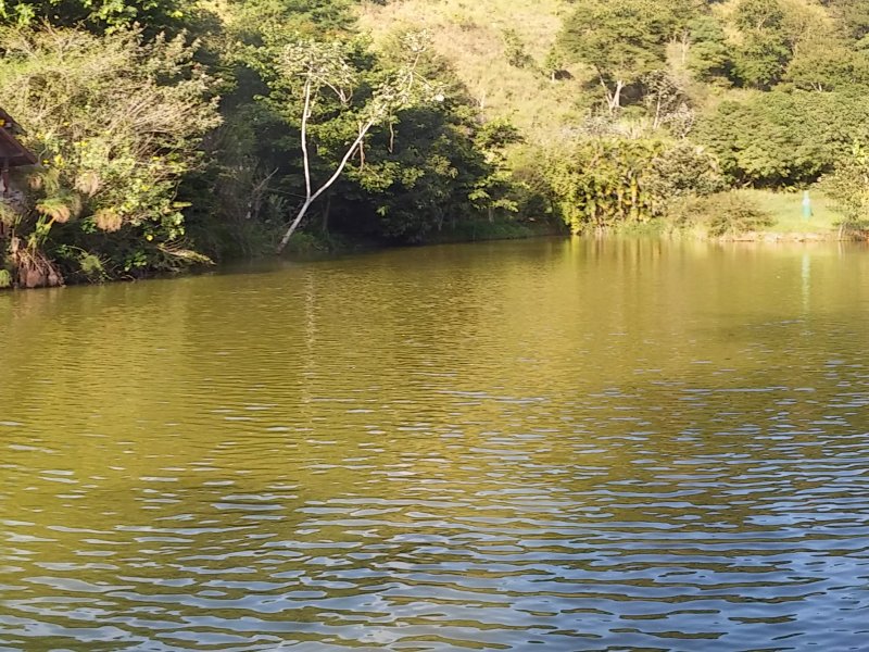 Sítio à venda Paula Lima com 20000m² e 9 quartos por R$ 500.000 - 178553827-20170525-151048-pano.jpg