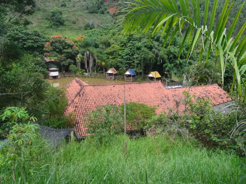 Sítio à venda Paula Lima com 20000m² e 9 quartos por R$ 500.000 - 2017673365-dsc-3944.JPG