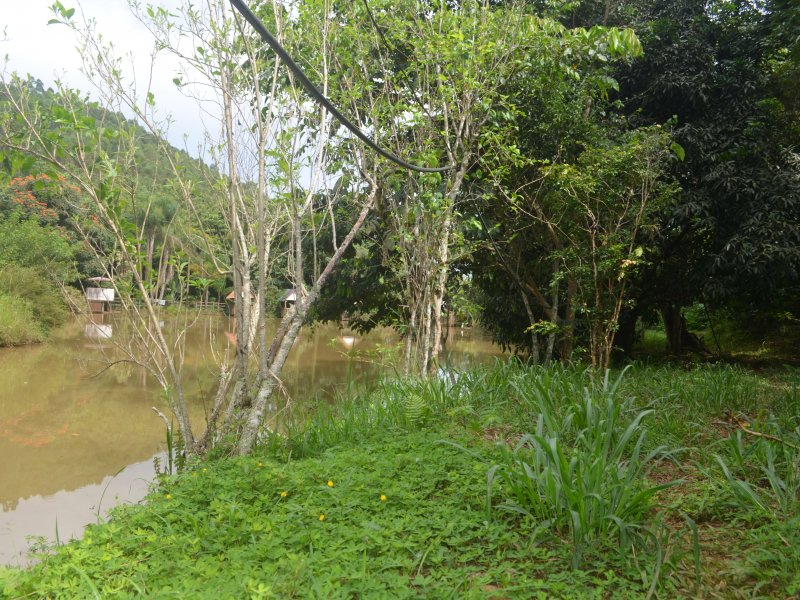 Sítio à venda Paula Lima com 20000m² e 9 quartos por R$ 500.000 - 2078420833-dsc-3943.JPG