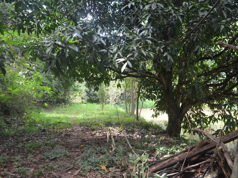 Sítio à venda Paula Lima com 20000m² e 9 quartos por R$ 500.000 - 917823407-dsc-3942.JPG
