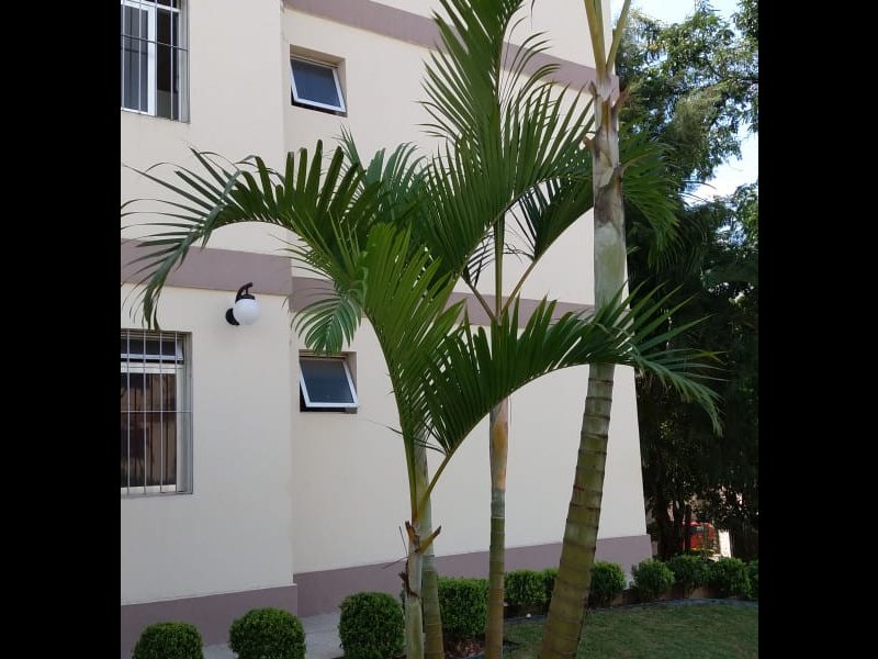 imóvel com 60m² - Jardim Rio das Pedras - Cotia
