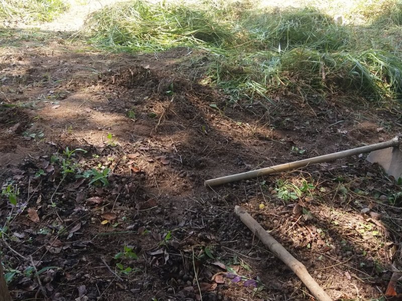 Terreno à venda Grajaú com 20m² e  quartos por R$ 30.000 - 1812794891-screenshot-20200401-182521-gallery.jpg