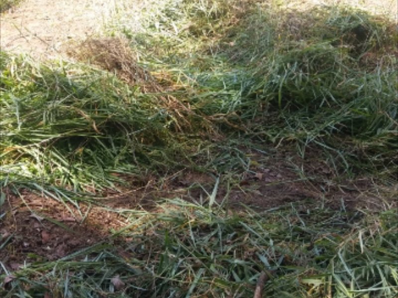 Terreno à venda Grajaú com 20m² e  quartos por R$ 30.000 - 1871567267-screenshot-20200401-182524-gallery.jpg