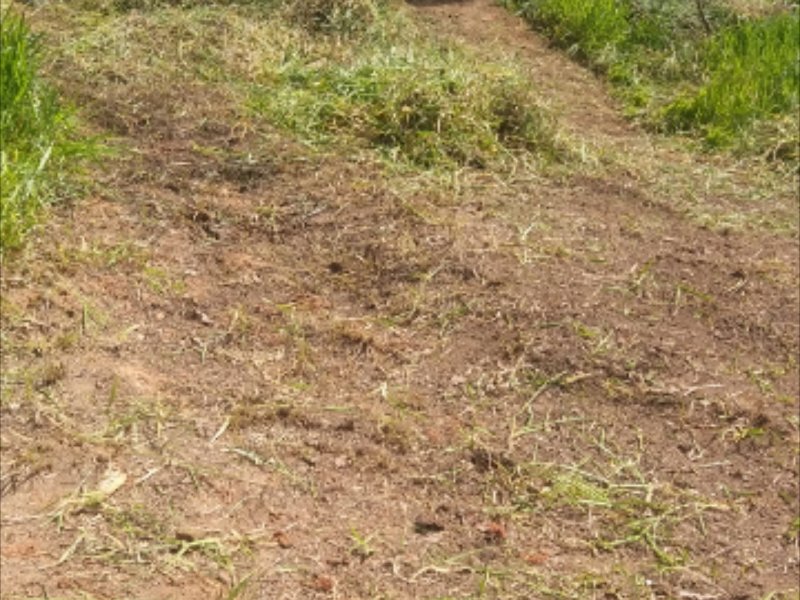 Terreno à venda Grajaú com 20m² e  quartos por R$ 30.000 - 213008549-screenshot-20200401-182530-gallery.jpg