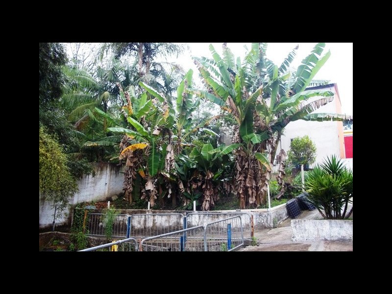Apartamento à venda Chácaras Virgínia com 3100m² e 4 quartos por R$ 1.350.000 - 813027667-100-1347.JPG