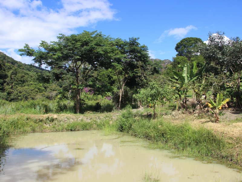 Terreno à venda Goiânia com 150m² e  quartos por R$ 290.000 - 137353272-img-5411.jpg