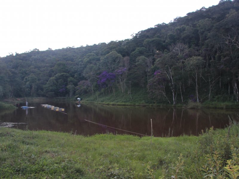 Terreno à venda Goiânia com 150m² e  quartos por R$ 290.000 - 584145177-img-5479.jpg