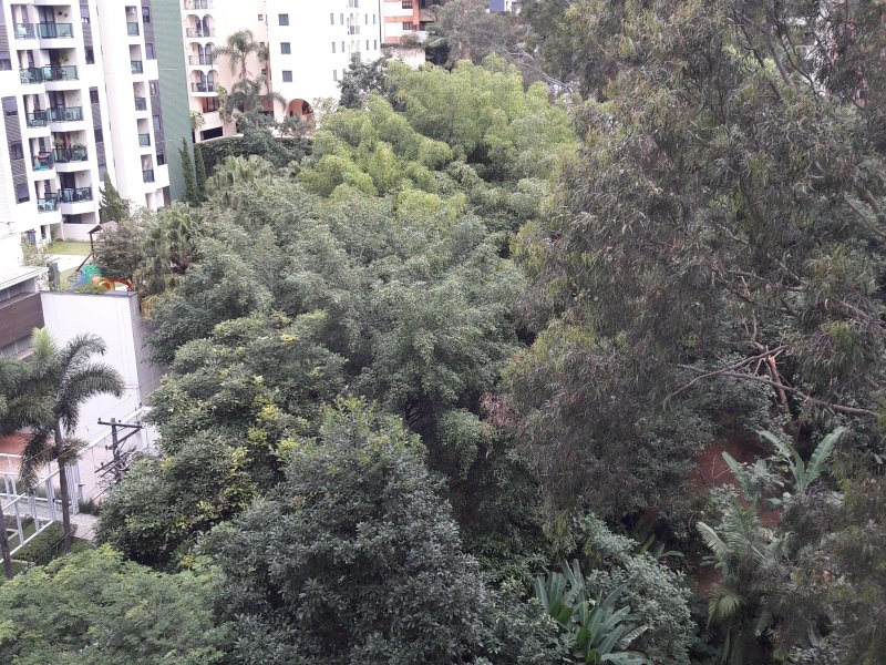 Apartamento à venda Morumbi com 123m² e 3 quartos por R$ 800.000 - 1767995289-052.jpg