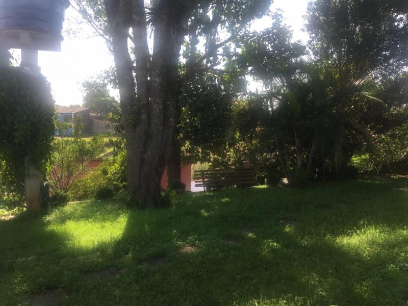 Chácara à venda Jardim Lidia Maria com 1m² e 3 quartos por R$ 650 - 1183383613-6e088d97-ffa6-48ca-874f-7d0f1c28efb1.jpeg