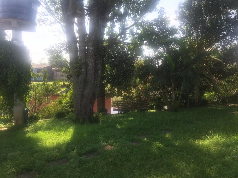 Chácara à venda Jardim Lidia Maria com 1m² e 3 quartos por R$ 650 - 753128035-16247d2a-1fae-4d0f-82ff-cb5e2686a3bb.jpeg
