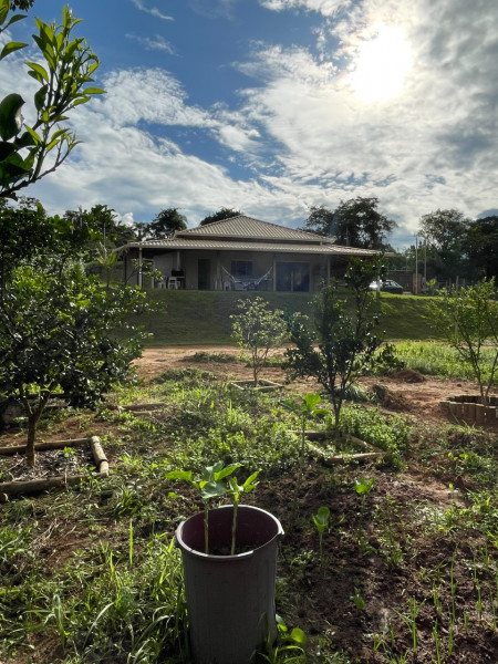 Chácara à venda Centro com 2000m² e 3 quartos por R$ 1.200.000 - 100880237-whatsapp-image-2023-01-02-at-18.jpeg