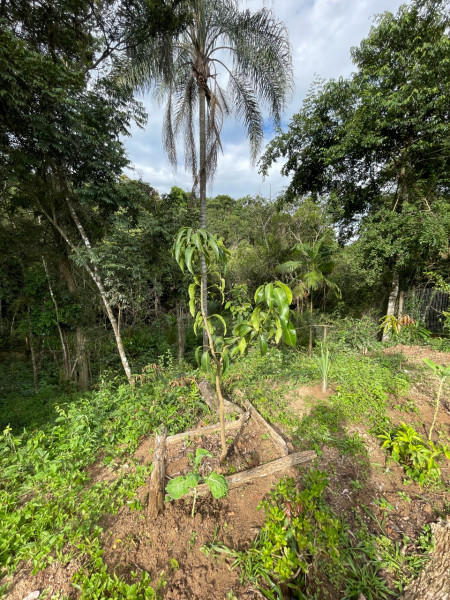 Chácara à venda Centro com 2000m² e 3 quartos por R$ 1.200.000 - 2101463227-whatsapp-image-2023-01-02-at-18.jpeg