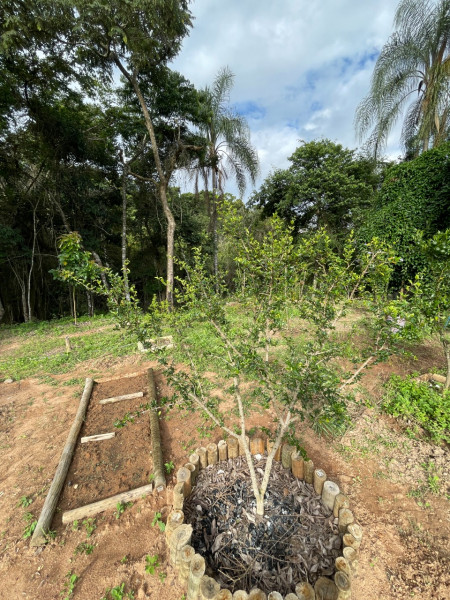 Chácara à venda Centro com 2000m² e 3 quartos por R$ 1.200.000 - 281433128-whatsapp-image-2023-01-02-at-18.jpeg