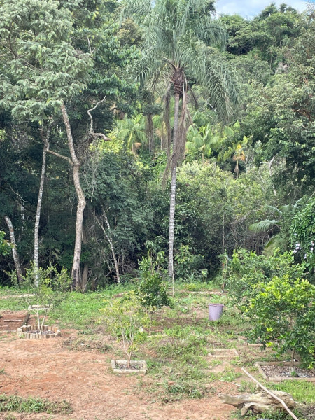 Chácara à venda Centro com 2000m² e 3 quartos por R$ 1.200.000 - 3984509-whatsapp-image-2023-01-02-at-18.jpeg