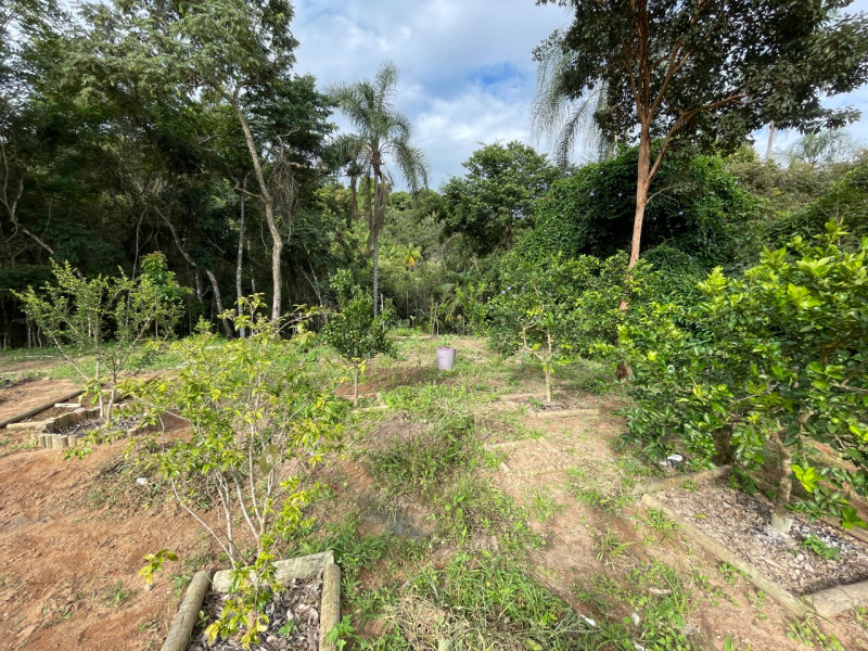 Chácara à venda Centro com 2000m² e 3 quartos por R$ 1.200.000 - 606452327-whatsapp-image-2023-01-02-at-18.jpeg