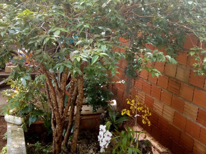 Apartamento à venda Nova Uberlândia com 250m² e 2 quartos por R$ 310.000 - 1904567067-whatsapp-image-2020-04-18-at-13.jpeg