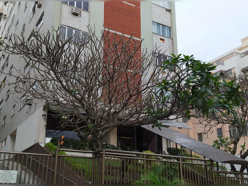 Apartamento à venda Méier com 79m² e 2 quartos por R$ 280.000 - whatsapp-image-2020-07-18-at-102205-2.jpeg