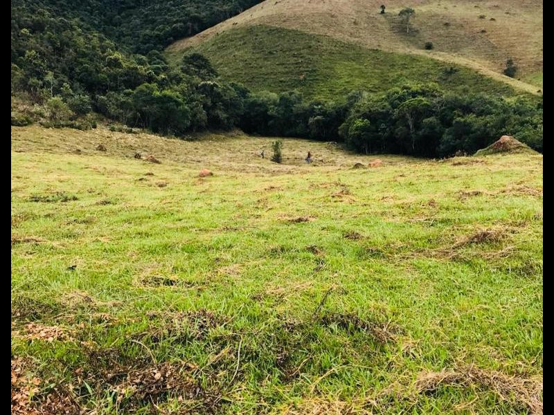 Sítio à venda Centro com 100000m² e 1 quarto por R$ 300.000 - 1811903607-d8141f63-c3e2-48d1-a1eb-7881cf2e8d82.jpeg