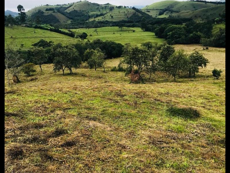 Sítio à venda Centro com 100000m² e 1 quarto por R$ 300.000 - 688177725-1a64c424-823e-402b-a4c5-61b93f8ae0e3.jpeg