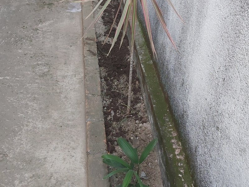 Casa à venda Dona Rosarinha com 200m² e 3 quartos por R$ 160.000 - 891861004-20200407-163846.jpg