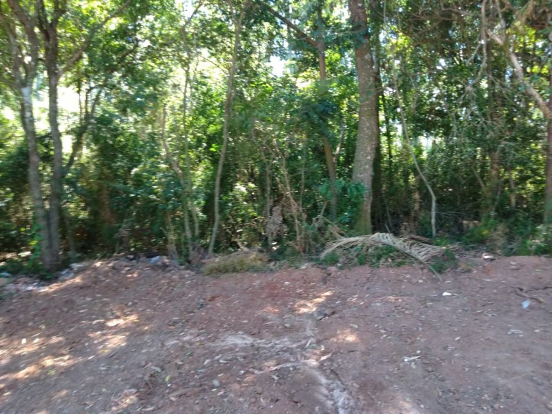 Terreno à venda São Lucas com 385m² e 1 quarto por R$ 90.000 - 1230329625-img-20190223-wa0003.jpg