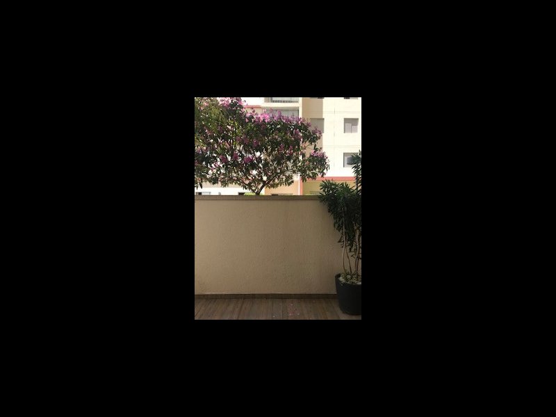 Apartamento à venda Vila Homero Thon com 103m² e 3 quartos por R$ 408.000 - 679150182-10-quintal-interno.jpg