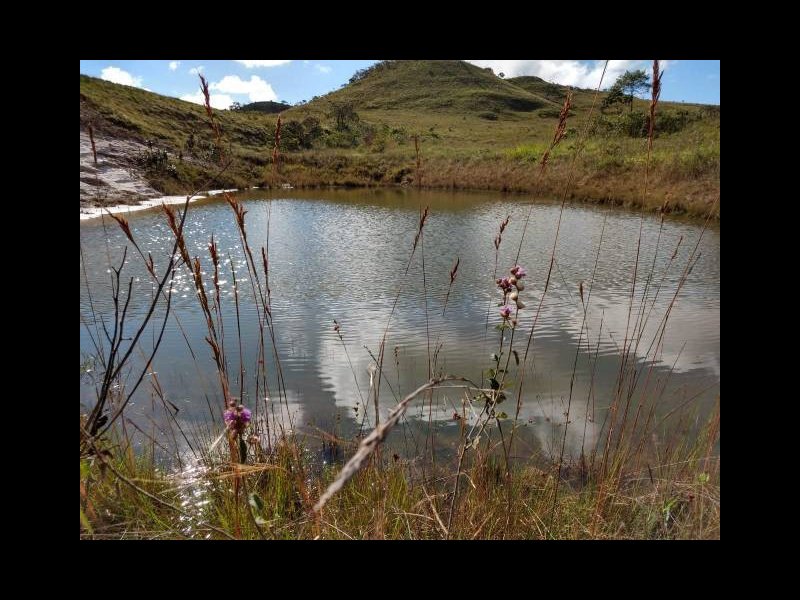 Terreno à venda Ceilândia Norte (Ceilândia) com 220m² e  quartos por R$ 200.000 - 1332723143-3c2e6cd7-9b58-490a-b36a-e04ee144f45c.jpg