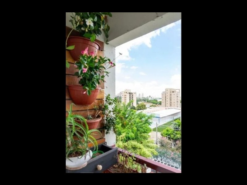imóvel com 50m² - Vila Leopoldina - São Paulo
