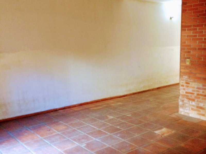 imóvel com 246m² - Tucuruvi - São Paulo