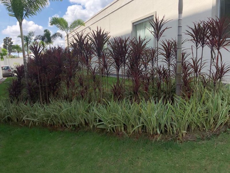 imóvel com 48m² - Bandeirantes (Pampulha) - Belo Horizonte