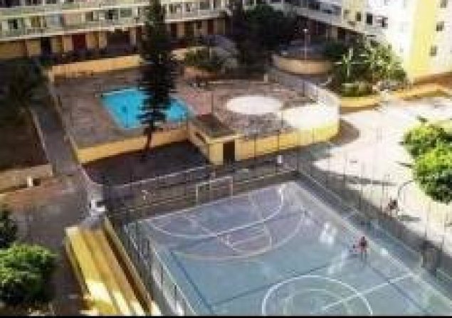 imóvel com 1000m²