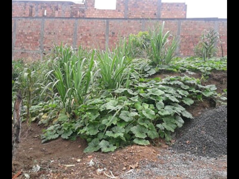 Terreno à venda Polivalente com 200m² e  quartos por R$ 100.000 - 1295793532-20200421-082941.jpg