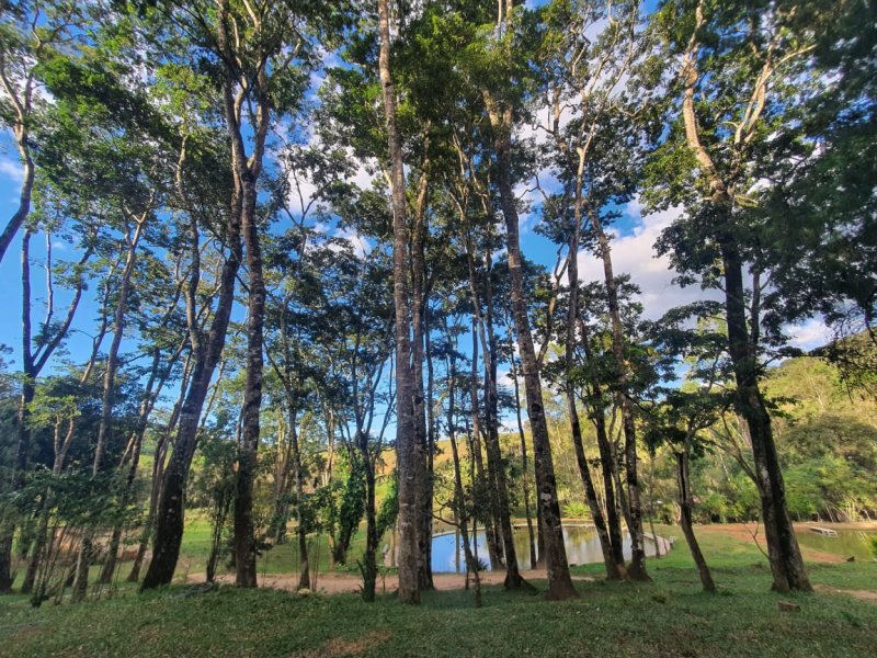 Sítio à venda Nossa Sra. de Fátima com 70000m² e 7 quartos por R$ 1.100.000 - 1010340703-whatsapp-image-2020-04-27-at-17.jpeg