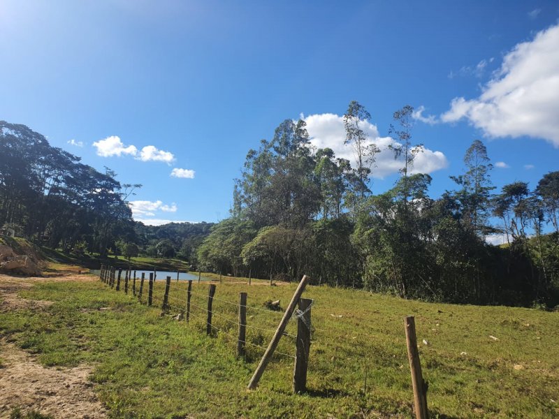 Sítio à venda Nossa Sra. de Fátima com 70000m² e 7 quartos por R$ 1.100.000 - 1955293961-whatsapp-image-2020-04-27-at-17.jpeg